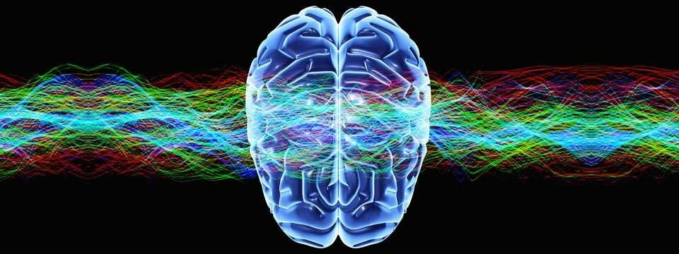Neuroscience and Meditation